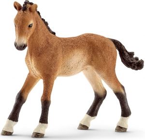 SHL13804 - Tennessee Walker colt