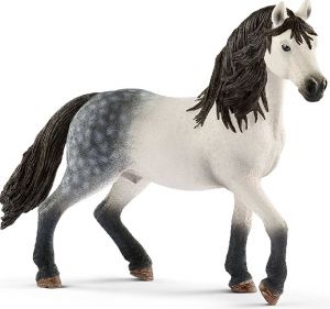 SHL13821 - Andalusian Stallion