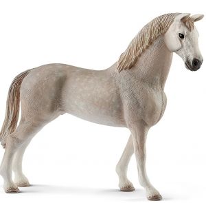 SHL13859 - Holstein Gelding