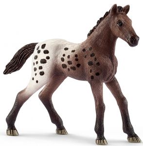 SHL13862 - Appaloosa Foal