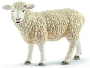 SHL13882 - Sheep