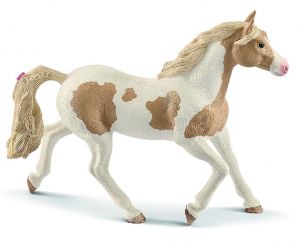 SHL13884 - Horse Paint Mare