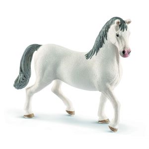 SHL13887 - Lipizzan stallion