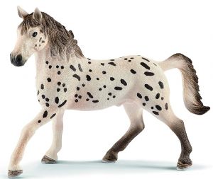 SHL13889 - Knabstrupper stallion