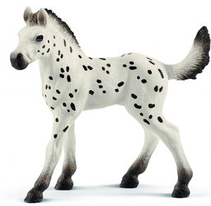SHL13890 - Knabstrupper foal