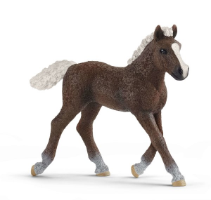 SHL13899 - Black Forest foal - COMING SOON