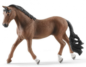 SHL13909 - Gelding trakehner - COMING SOON