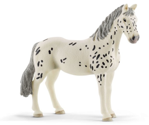 SHL13910 - Knabstrupper Mare - COMING SOON