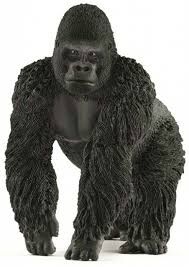 SHL14770 - Gorilla male