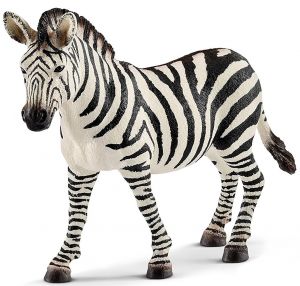 SHL14810 - Female zebra
