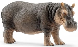SHL14814 - hippopotamus