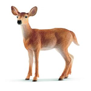 SHL14819 - White-tailed doe