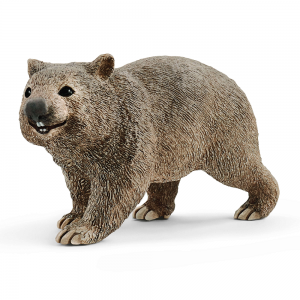 SHL14834 - Wombat - COMING SOON