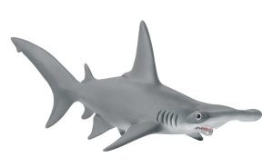 SHL14835 - Requin-marteau - BIENTÔT DISPO