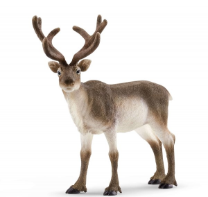 SHL14837 - Reindeer - COMING SOON