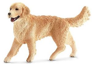 SHL16395 - Golden Retriever female
