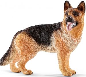 SHL16831 - German shepherd