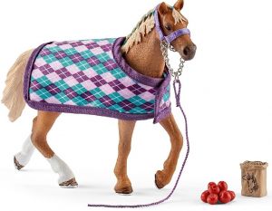 SHL42360 - Thoroughbred Englishman with blanket