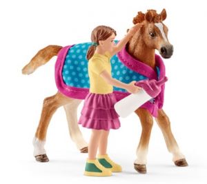 SHL42361 - Foal with blanket