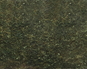 NOC08350 - Forest grass - 2.5 mm -20 g