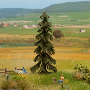 NOC21919 - Red fir tree 10.5 cm