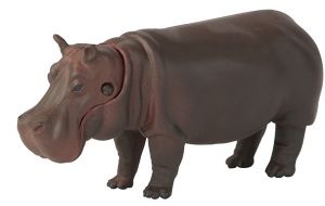 T16048 - Hippopotamus