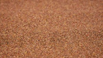 NOC00091 - Brown Gravel Mat - 100x60cm
