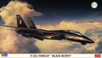 HAW02377 - Aircraft TOMCAT F-14A Black Bunny to assemble and paint