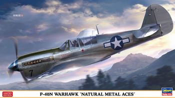 HAW07516 - P-40N Warhawk Aircraft - Natural Metal Aces to assemble and paint