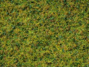 NOC07077 - Pot master grass blend 100g