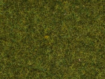 NOC07117 - Wild Herbs Pre - 50g - 9mm