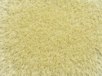 NOC07119 - Wild herbs; yellow 9mm 50g