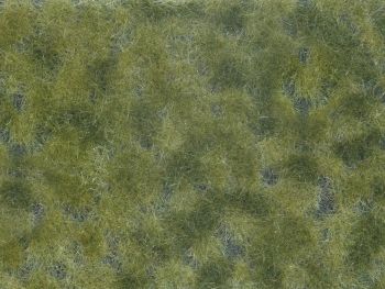 NOC07250 - Vegetable foliage; medium green 12x18 cm
