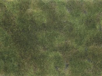 NOC07251 - Olive green plant foliage 12x18 cm