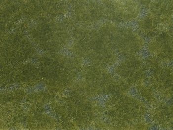 NOC07252 - Vegetable foliage; dark green 12x18 cm