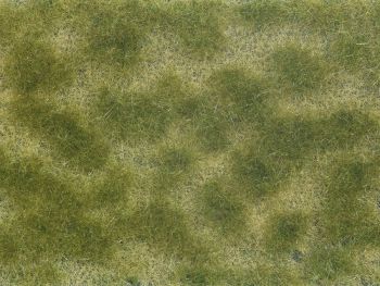 NOC07253 - Green/beige plant foliage 12x18 cm