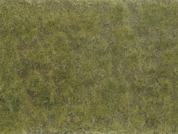 NOC07254 - Green/brown plant foliage 12x18 cm