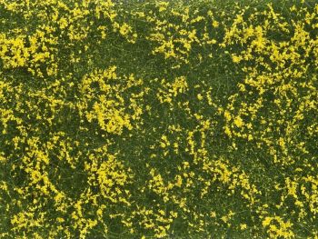 NOC07255 - Vegetable foliage; Yellow meadow 12x18 cm
