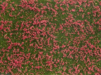 NOC07257 - Vegetable foliage; Red meadow 12x18 cm