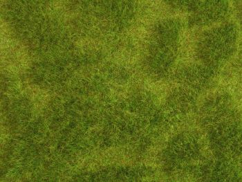 NOC07470 - Lush Meadow 25x25 cm