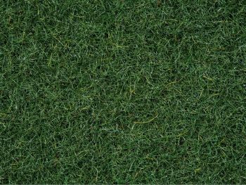 NOC08320 - Swamp Herbs - 2.5mm - 20g