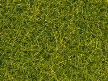NOC08363 - Light green herbs - 4mm - 20g