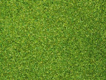 NOC08371 - Light green flock material 200g