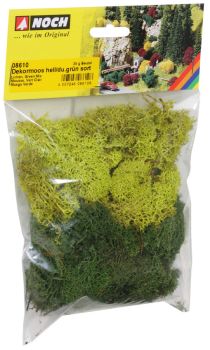 NOC08610 - Lichen stone green
