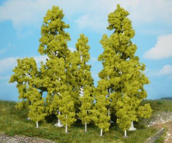 HEK1137 - 4 Birch trees 11 cm