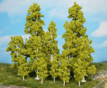 HEK1138 - 6 Birch trees 5.5 cm