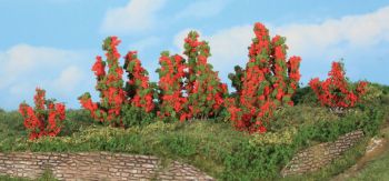HEK11801 - 6 rose bushes 3-6 cm