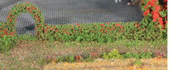 HEK11806 - 2 rose hedges - 7x7 mm - 50 cm long.