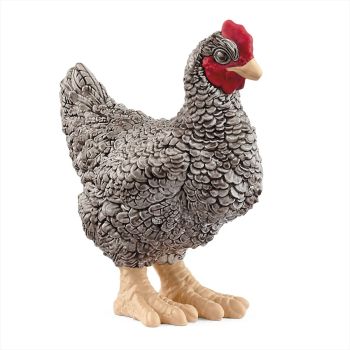 SHL13997 - Plymouth Rock Hen