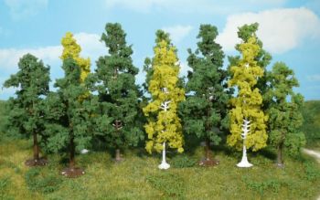 HEK1410 - 12 deciduous trees 7-12 cm